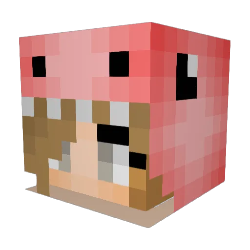 dinosauro200 Minecraft avatar head, 3D render