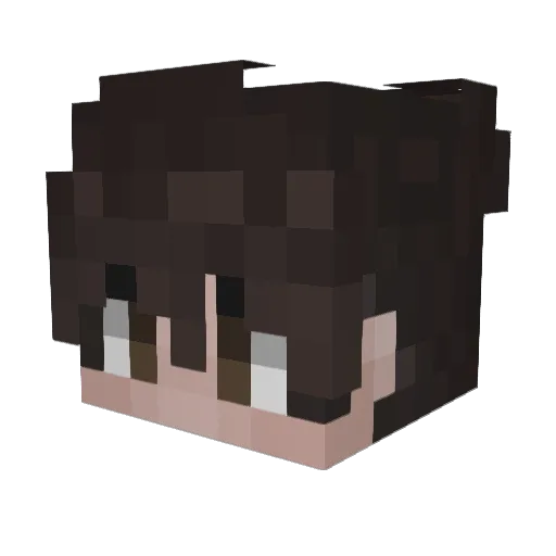 diops Minecraft avatar head, 3D render