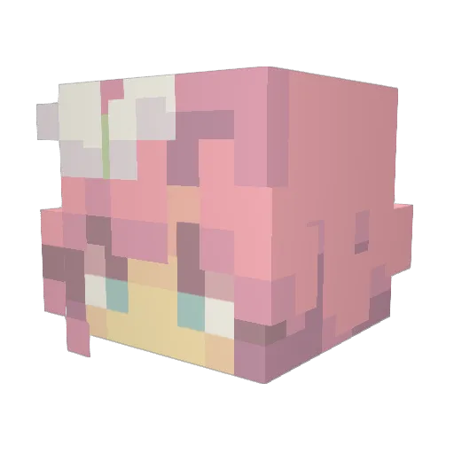 diowobrando Minecraft avatar head, 3D render