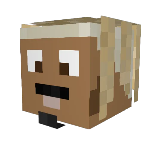 diphas Minecraft avatar head, 3D render