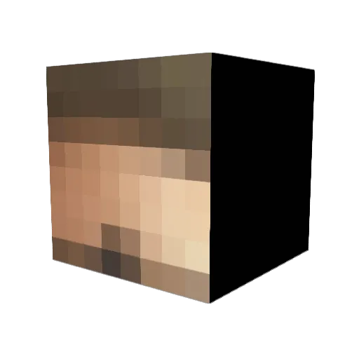 dipoop Minecraft avatar head, 3D render