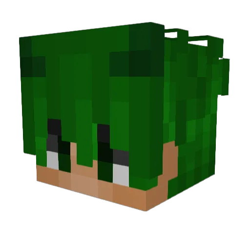 dippero Minecraft avatar head, 3D render