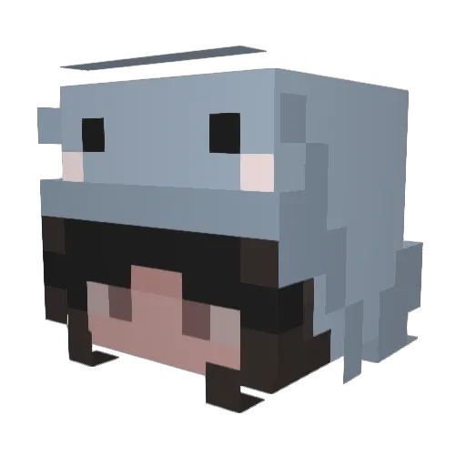 dipplebopper Minecraft avatar head, 3D render