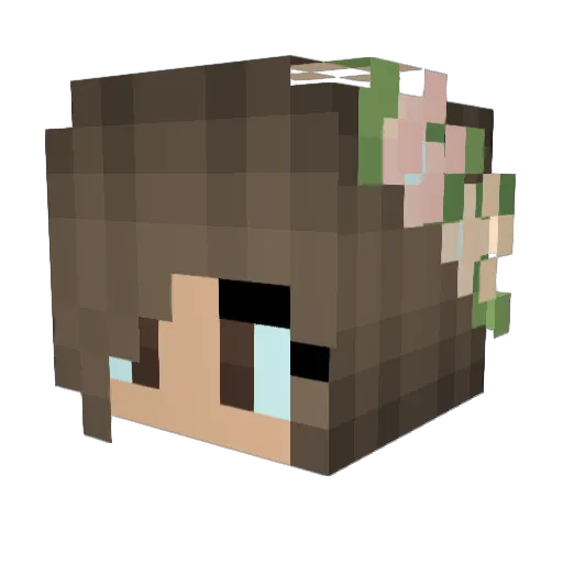dira1473 Minecraft avatar head, 3D render
