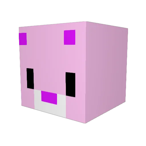 diray Minecraft avatar head, 3D render