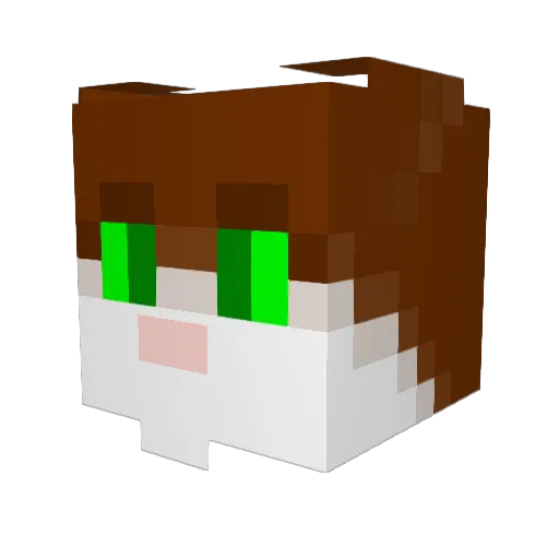 dirder Minecraft avatar head, 3D render