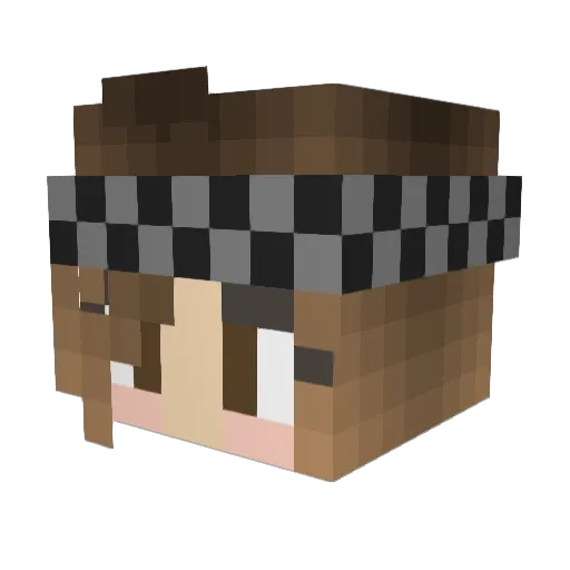 directioner756 Minecraft avatar head, 3D render