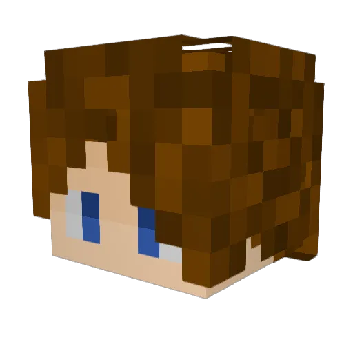diredookie777 Minecraft avatar head, 3D render