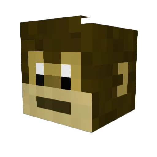 diren_d8 Minecraft avatar head, 3D render