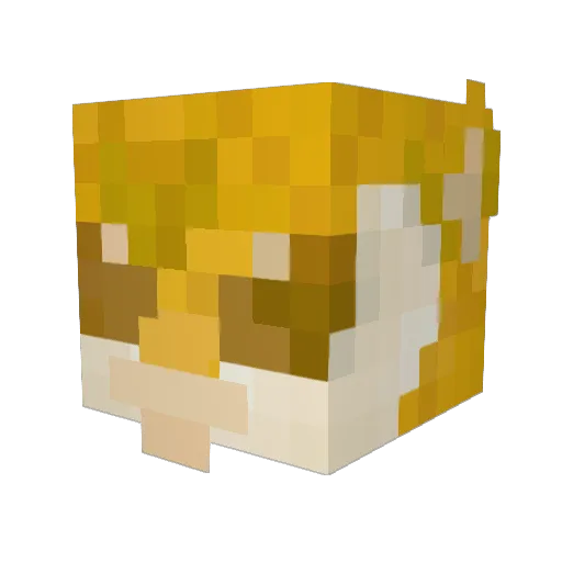 direwolf420 Minecraft avatar head, 3D render