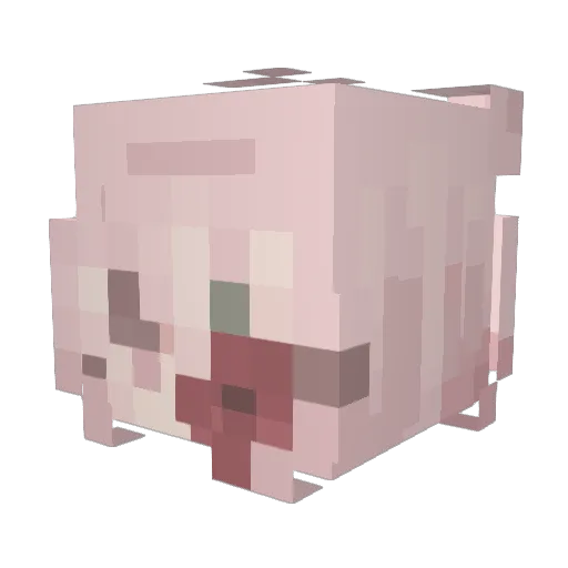direwulf1313 Minecraft avatar head, 3D render