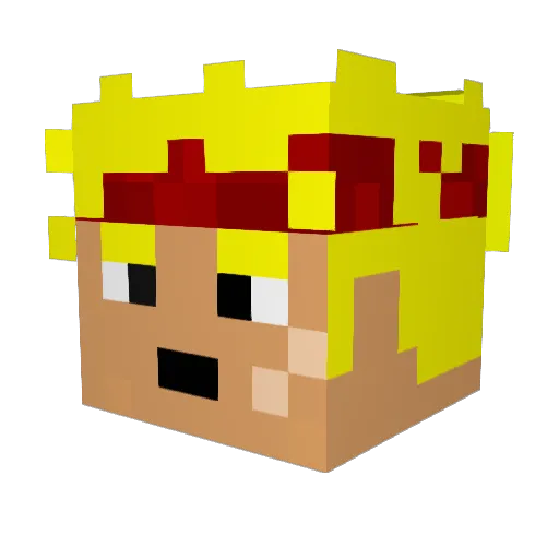 dirgy24 Minecraft avatar head, 3D render