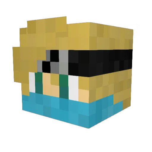 dirtblock24_7 Minecraft avatar head, 3D render