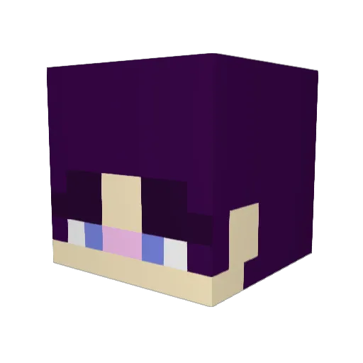 dirtboi24 Minecraft avatar head, 3D render