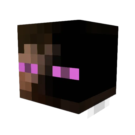 dirtdawg112 Minecraft avatar head, 3D render