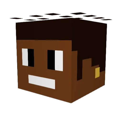 dirtdog404 Minecraft avatar head, 3D render
