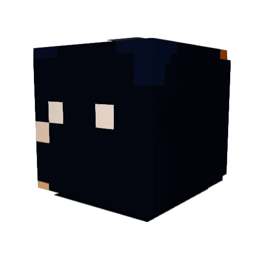 dirteater3999 Minecraft avatar head, 3D render