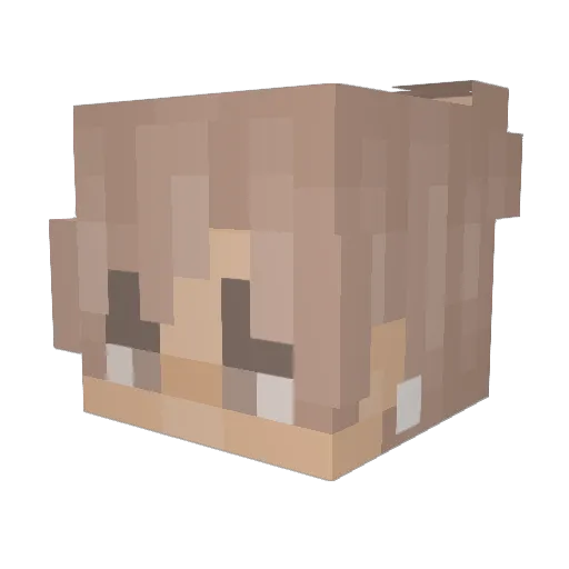 dirtisbest99 Minecraft avatar head, 3D render