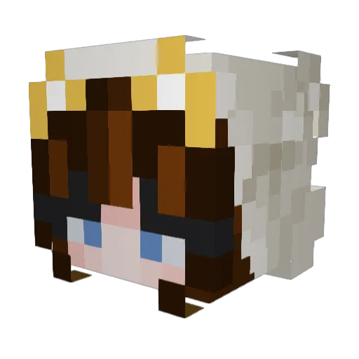 dirty_carr0t Minecraft avatar head, 3D render