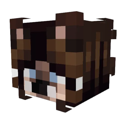 dirtylittlemutt Minecraft avatar head, 3D render