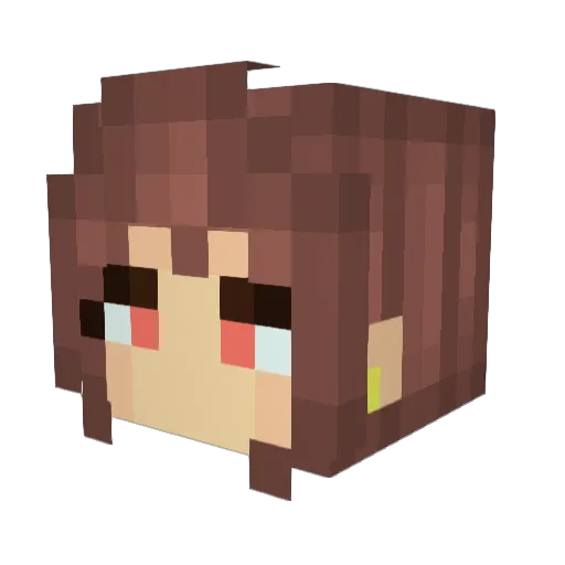 dirtynose Minecraft avatar head, 3D render