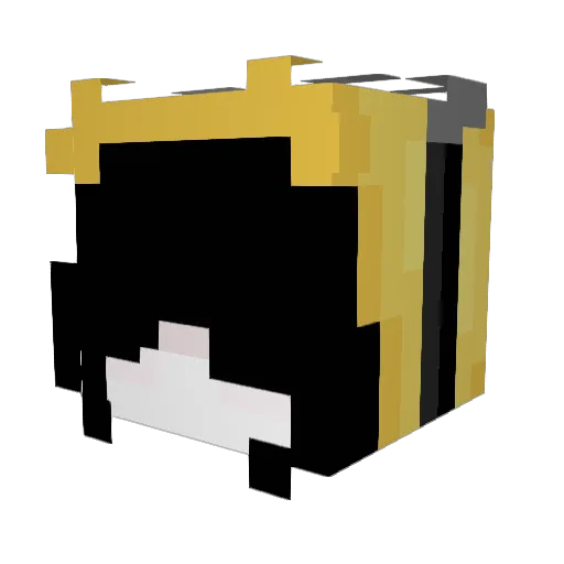 dirtysecret Minecraft avatar head, 3D render