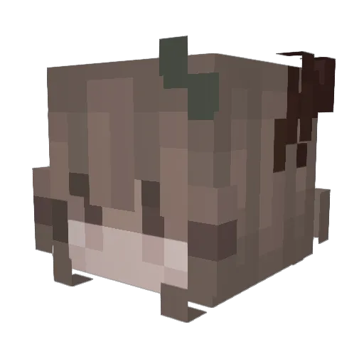 dirtyuggs Minecraft avatar head, 3D render