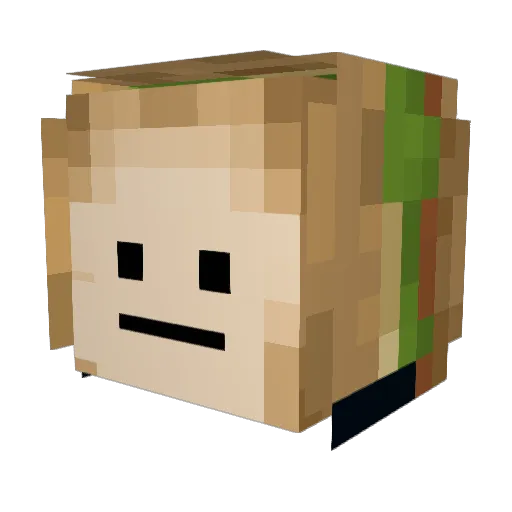 dis_somone Minecraft avatar head, 3D render
