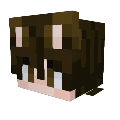 disaster36969 Minecraft avatar head, 3D render