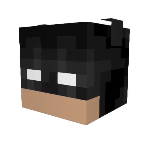 discgolfer2014 Minecraft avatar head, 3D render