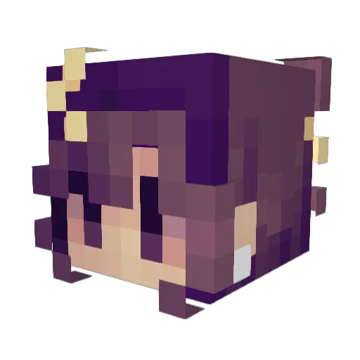 discified_ Minecraft avatar head, 3D render