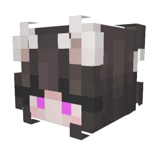 discla Minecraft avatar head, 3D render