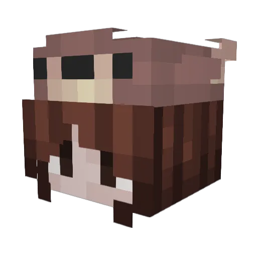 discokraan Minecraft avatar head, 3D render