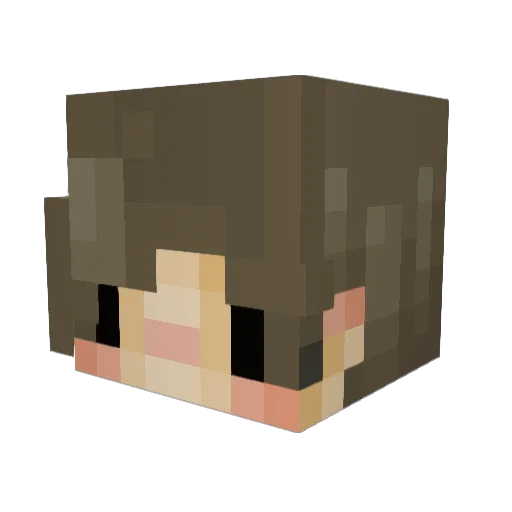 discomboobulated Minecraft avatar head, 3D render