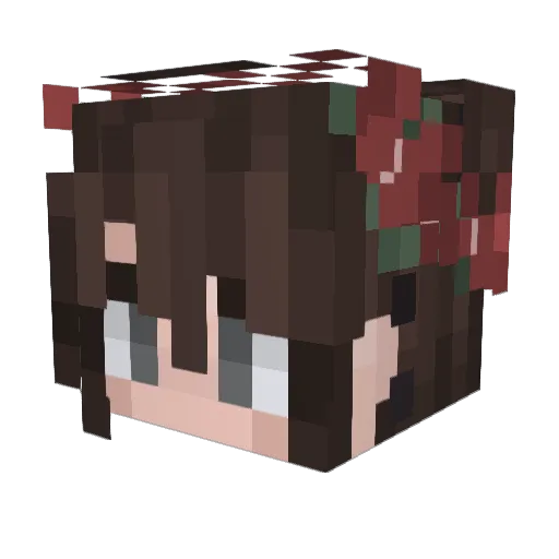 disconhaze Minecraft avatar head, 3D render