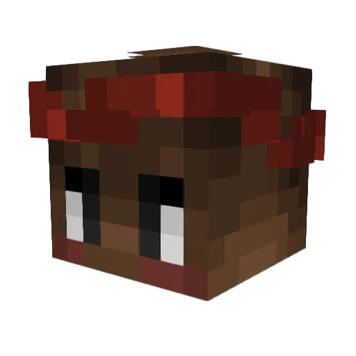 discopig2000 Minecraft avatar head, 3D render