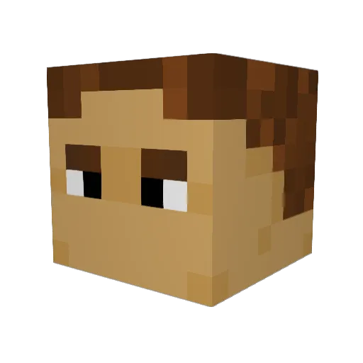 discostew8523 Minecraft avatar head, 3D render