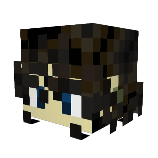discountfridge Minecraft avatar head, 3D render