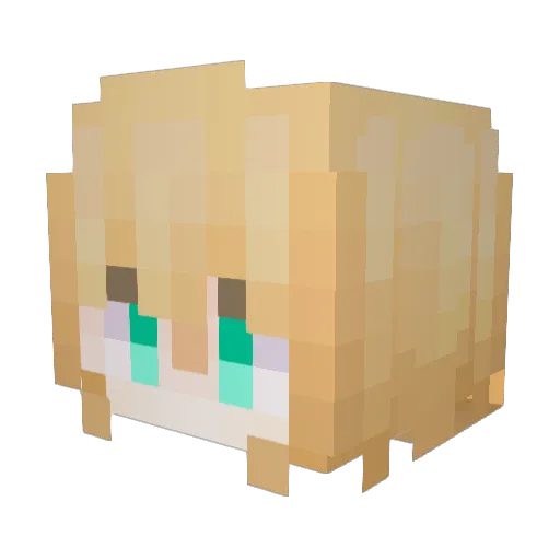 discusfish01 Minecraft avatar head, 3D render