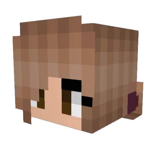 disenchanted__ Minecraft avatar head, 3D render