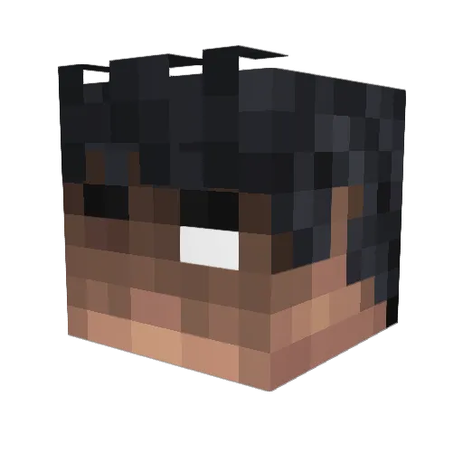 disgustico Minecraft avatar head, 3D render