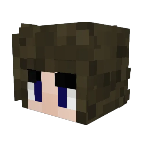 dishwasherstove Minecraft avatar head, 3D render