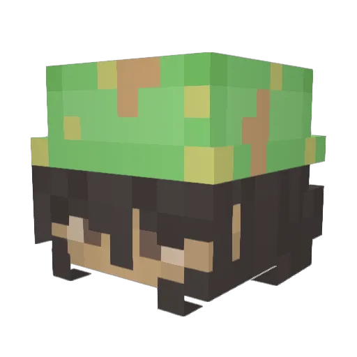 dishylevi Minecraft avatar head, 3D render