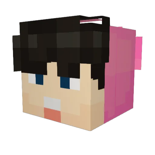 disk303 Minecraft avatar head, 3D render