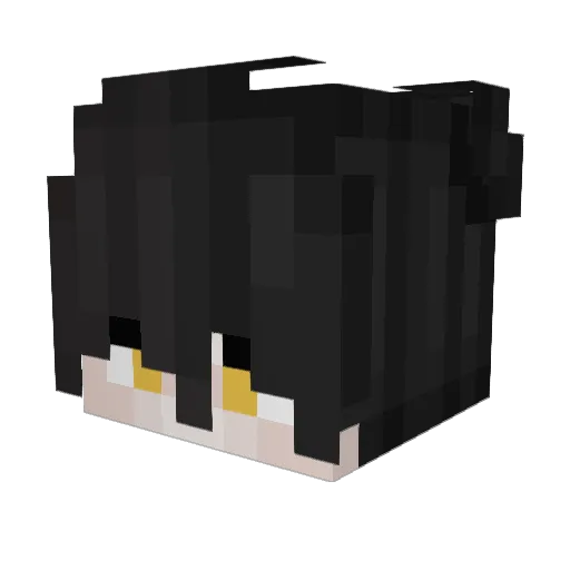 diskmane Minecraft avatar head, 3D render