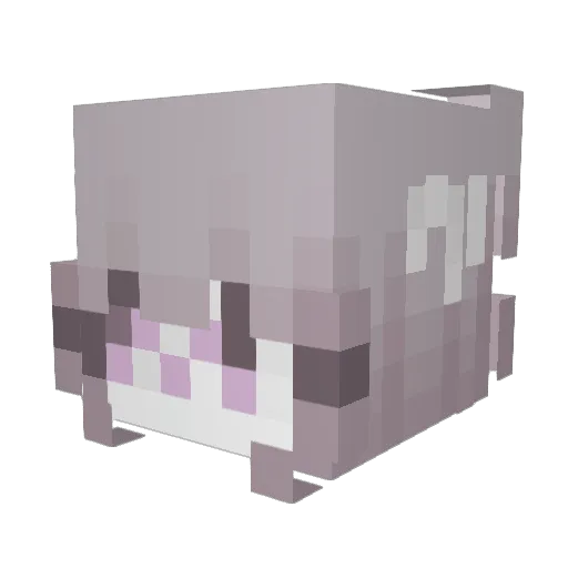 dislocatedunit Minecraft avatar head, 3D render