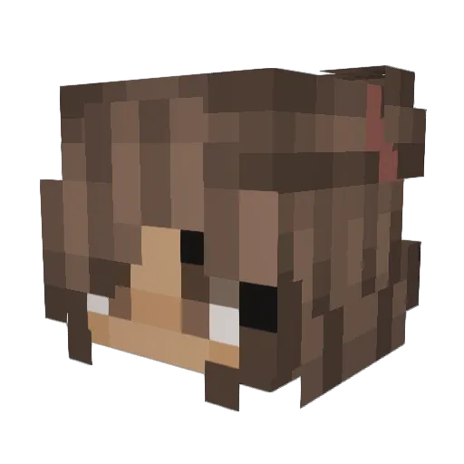 disney5678 Minecraft avatar head, 3D render