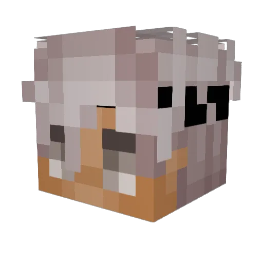 dissmisal Minecraft avatar head, 3D render