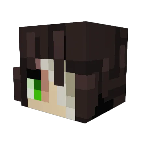 distortioneer Minecraft avatar head, 3D render