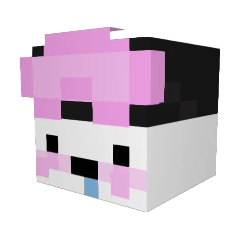ditasto Minecraft avatar head, 3D render